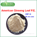 American ginseng leaf extract